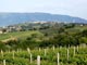 orvieto underground